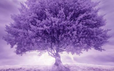 Szabadulj meg a stressztől és a szorongástól: A BodyTalk, mint hatékony segítség